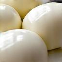 Fresh buffalo mozzarella