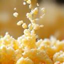 Artisan vegan cheese melt